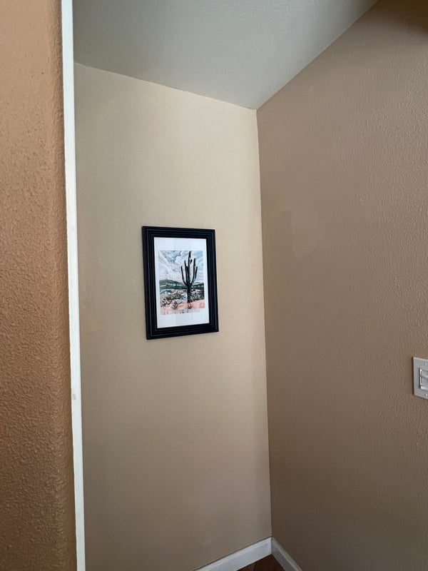 Framed print of Cactus in Home