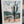 Painting of a cactus in a desert landscape. Abstract.
