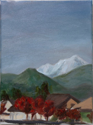 View from Highland Park, Redding Ca image 0