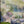 Right from Tuscany  image 0